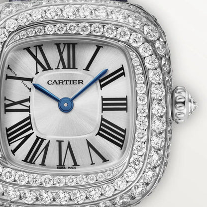 Amazing Swiss Quartz movement watch - AmazingBaba