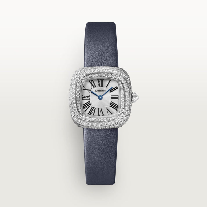 Amazing Swiss Quartz movement watch - AmazingBaba