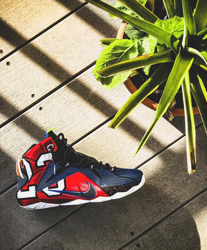 Lebron 12 Phantom “What The LeBron