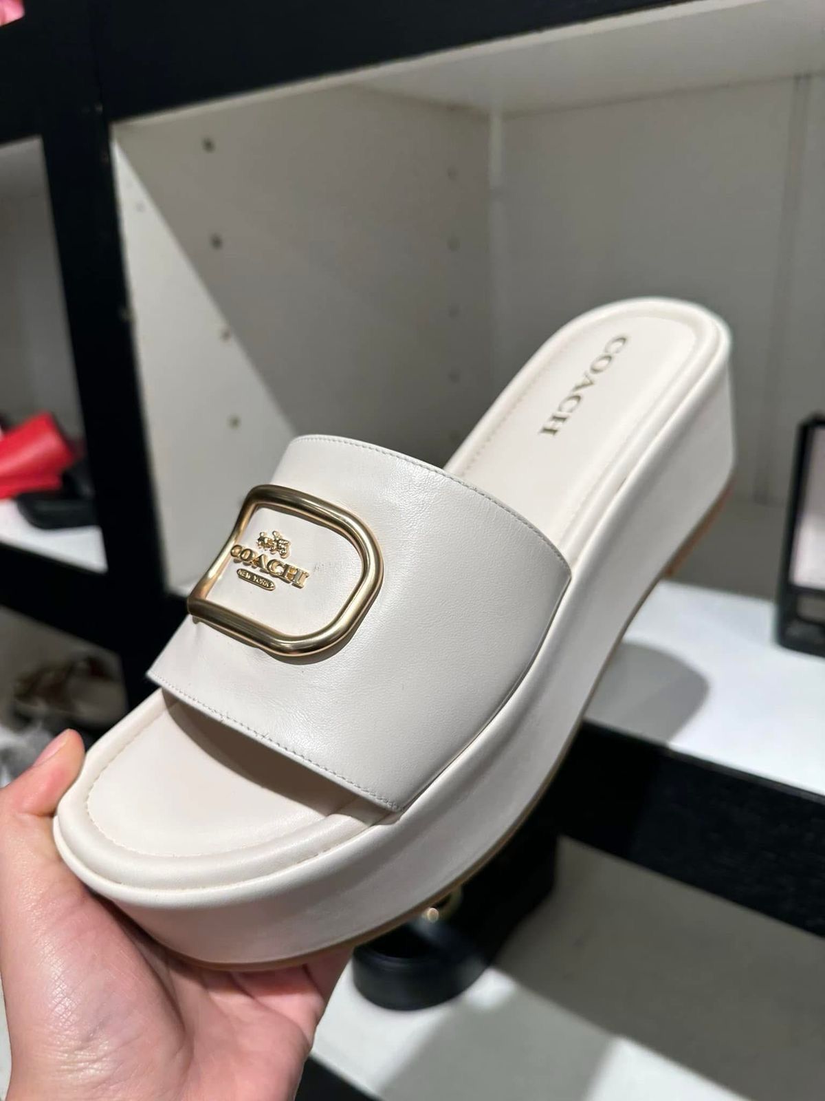 Coach Platforms