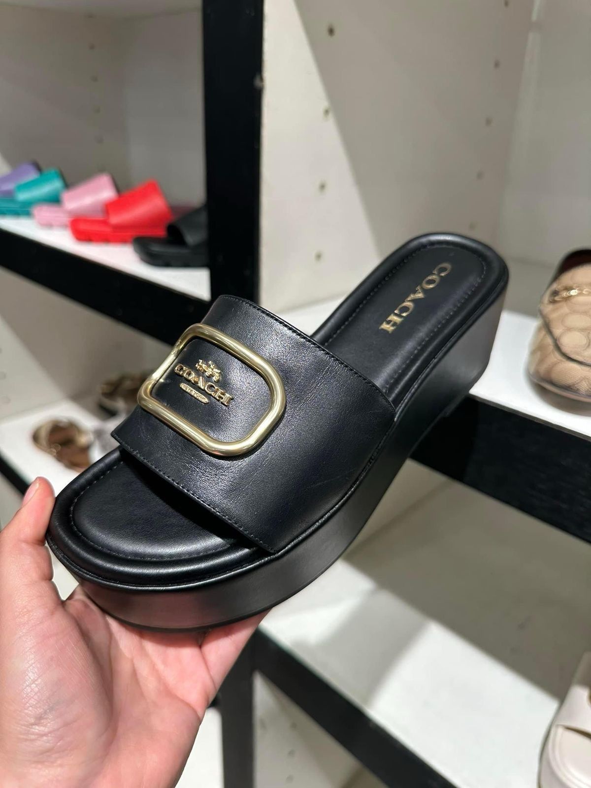 Coach Platforms