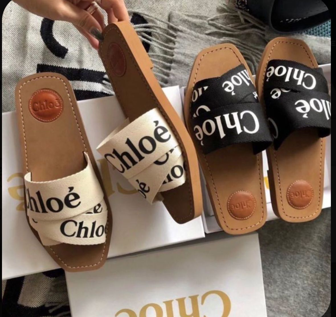 Amazing Chloe Flats