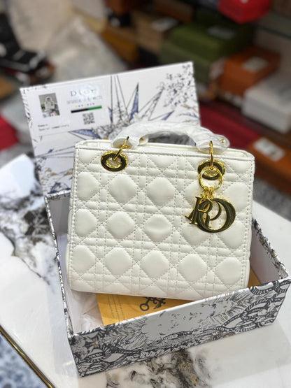 Luxury lady dior bag