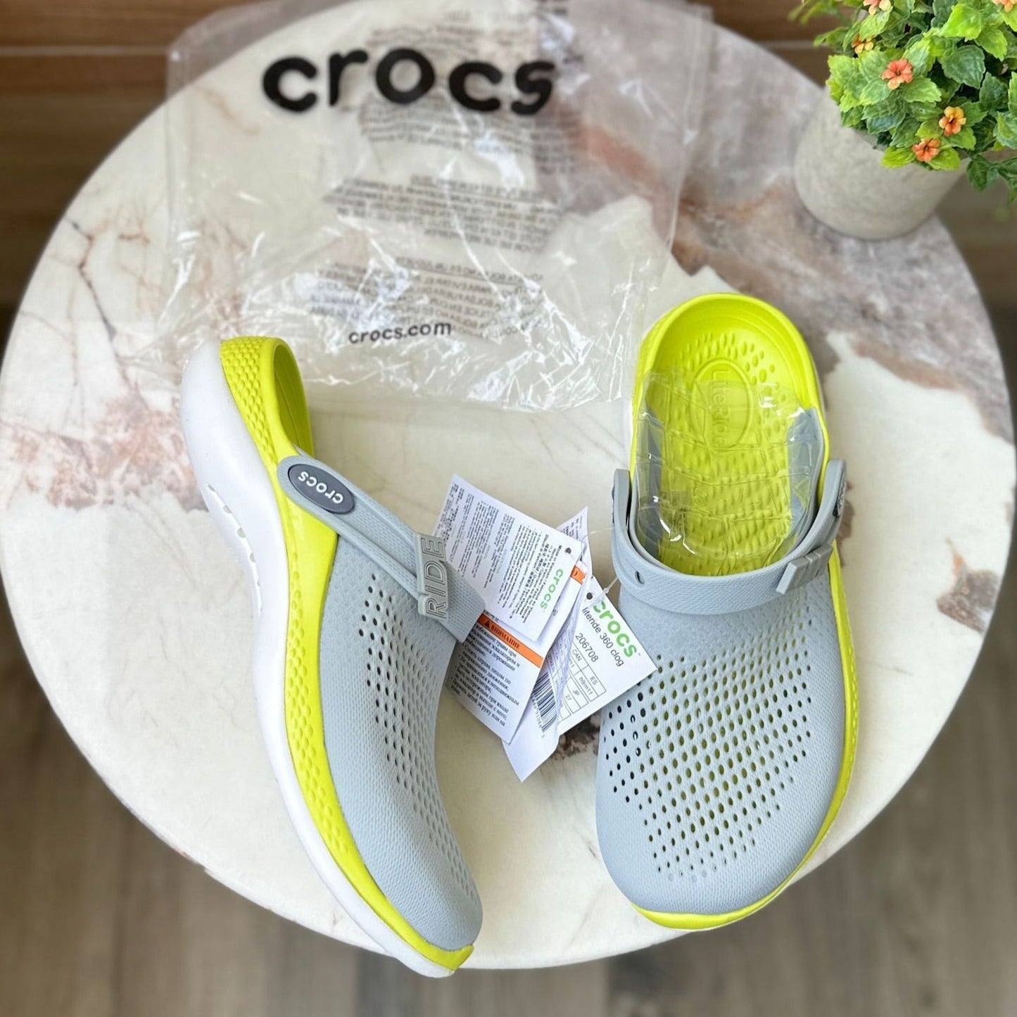 Amazing literid croco
