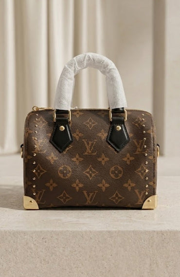 LV Monogram Speedy