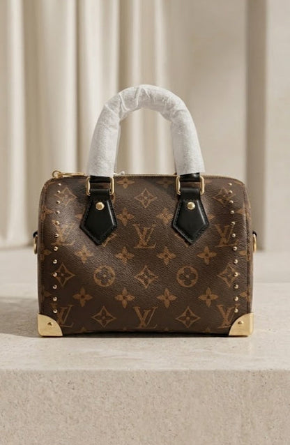 LV Monogram Speedy