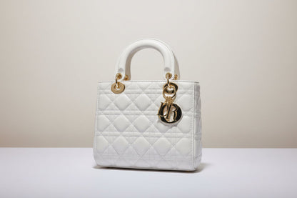 Luxury lady dior bag
