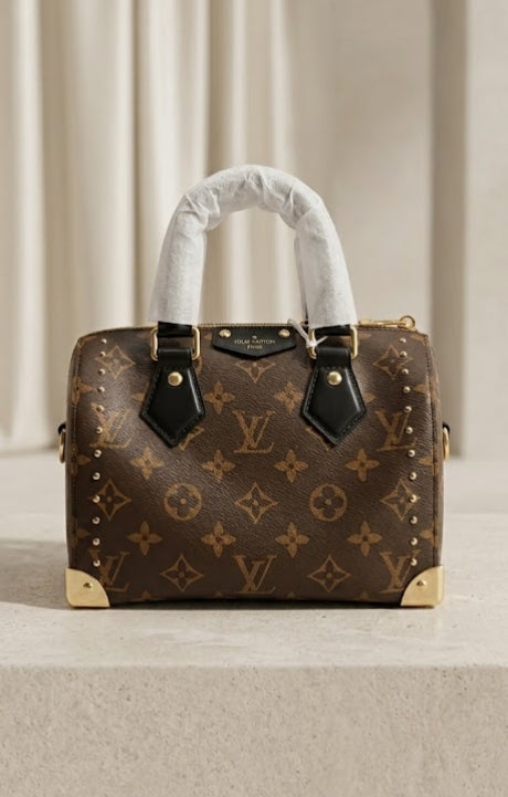 LV Monogram Speedy